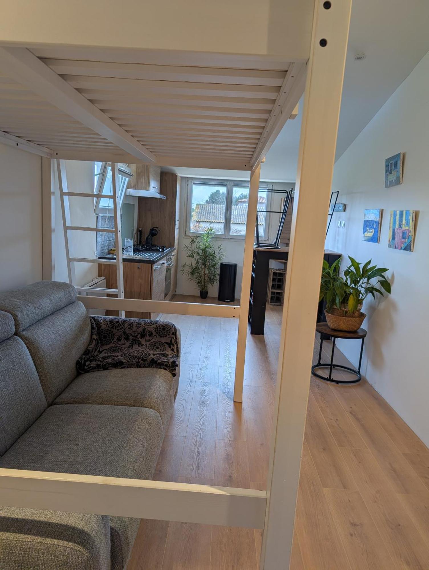 Studio Independant Tout Equipe Saint-Marcel-sur-Aude Eksteriør billede